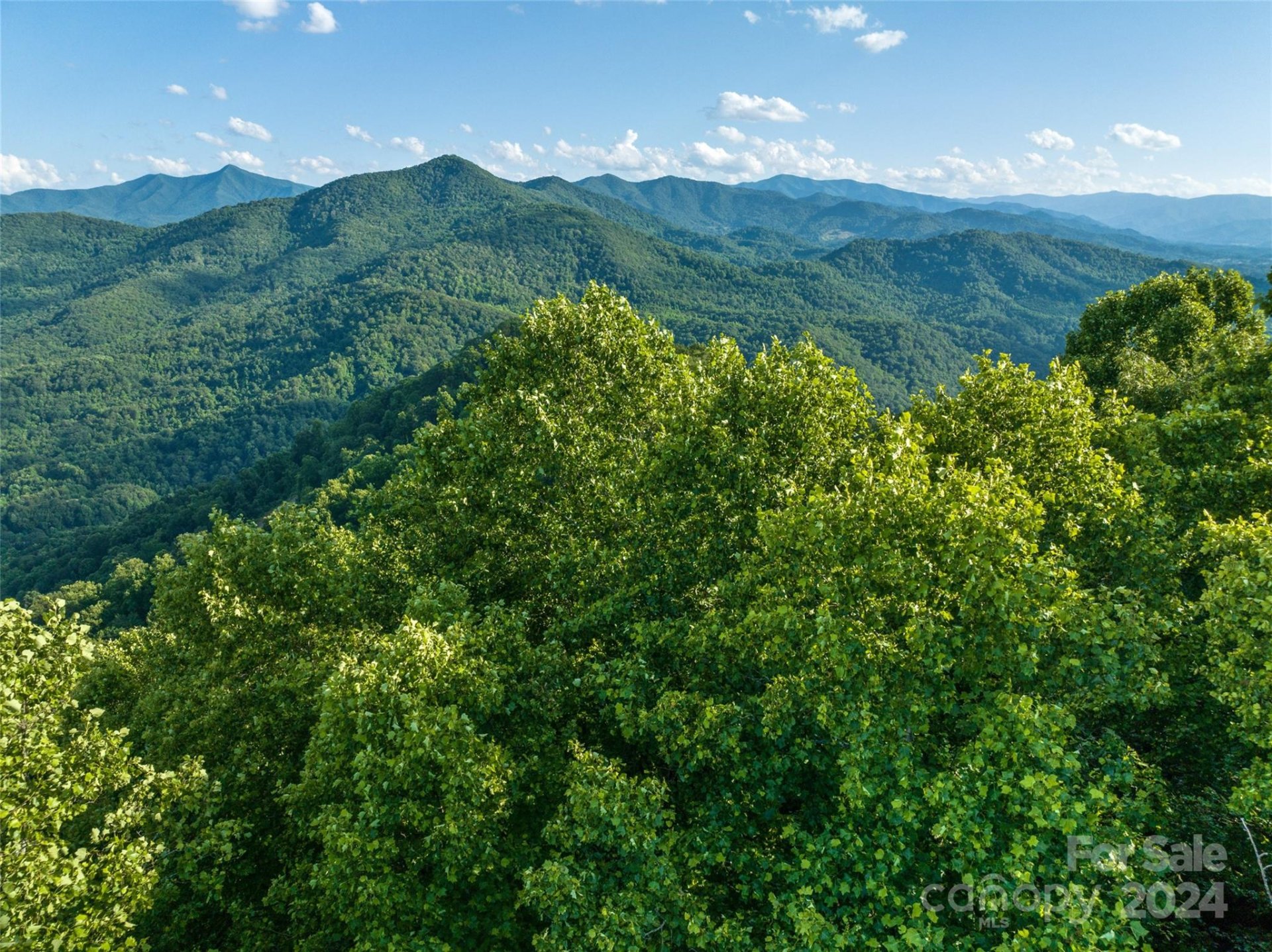 Property image 4 at 9999 28 Lovebird Lane, Canton, NC 28716