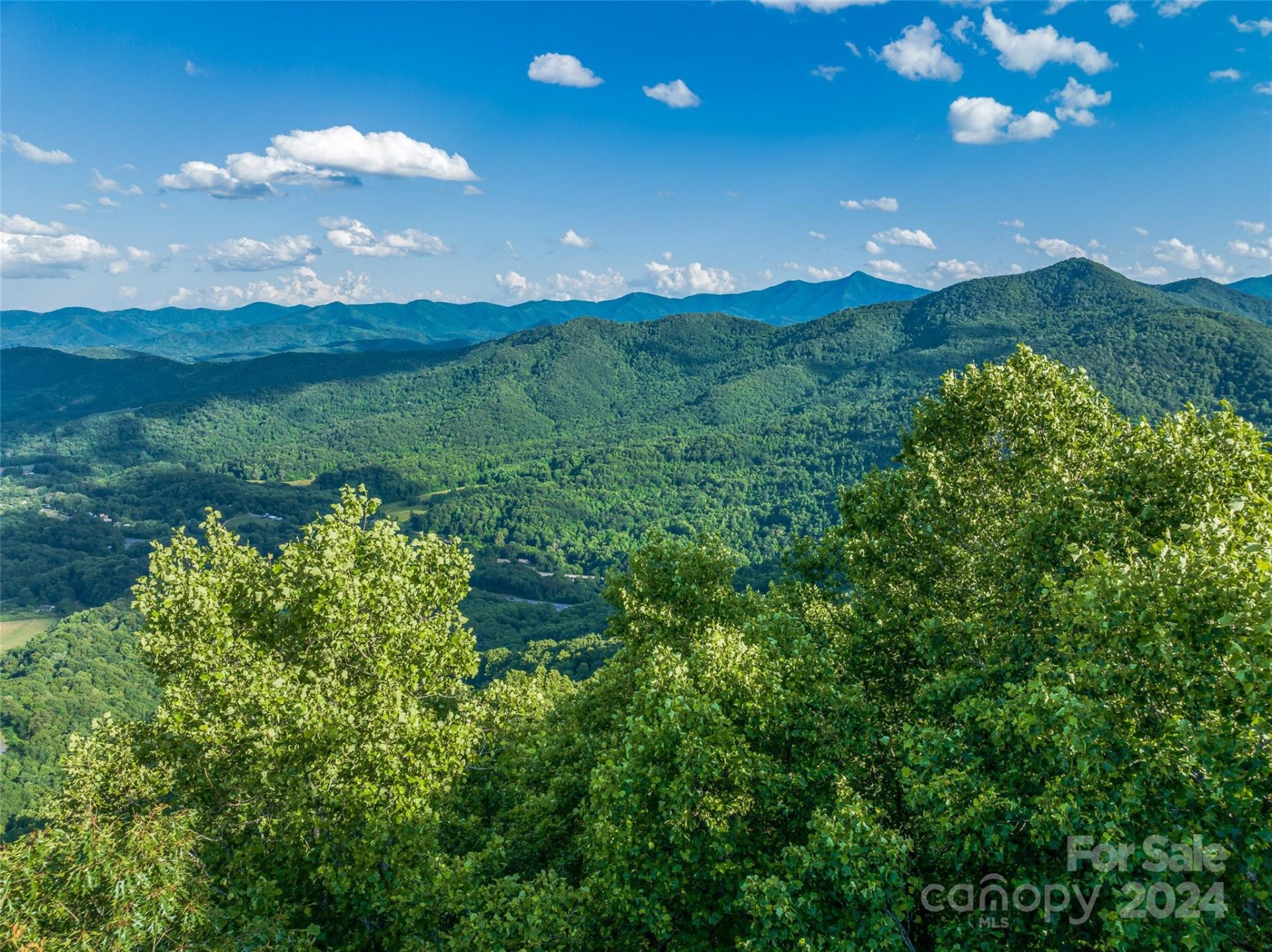 Property image 4 at 9999 29 Lovebird Lane, Canton, NC 28716