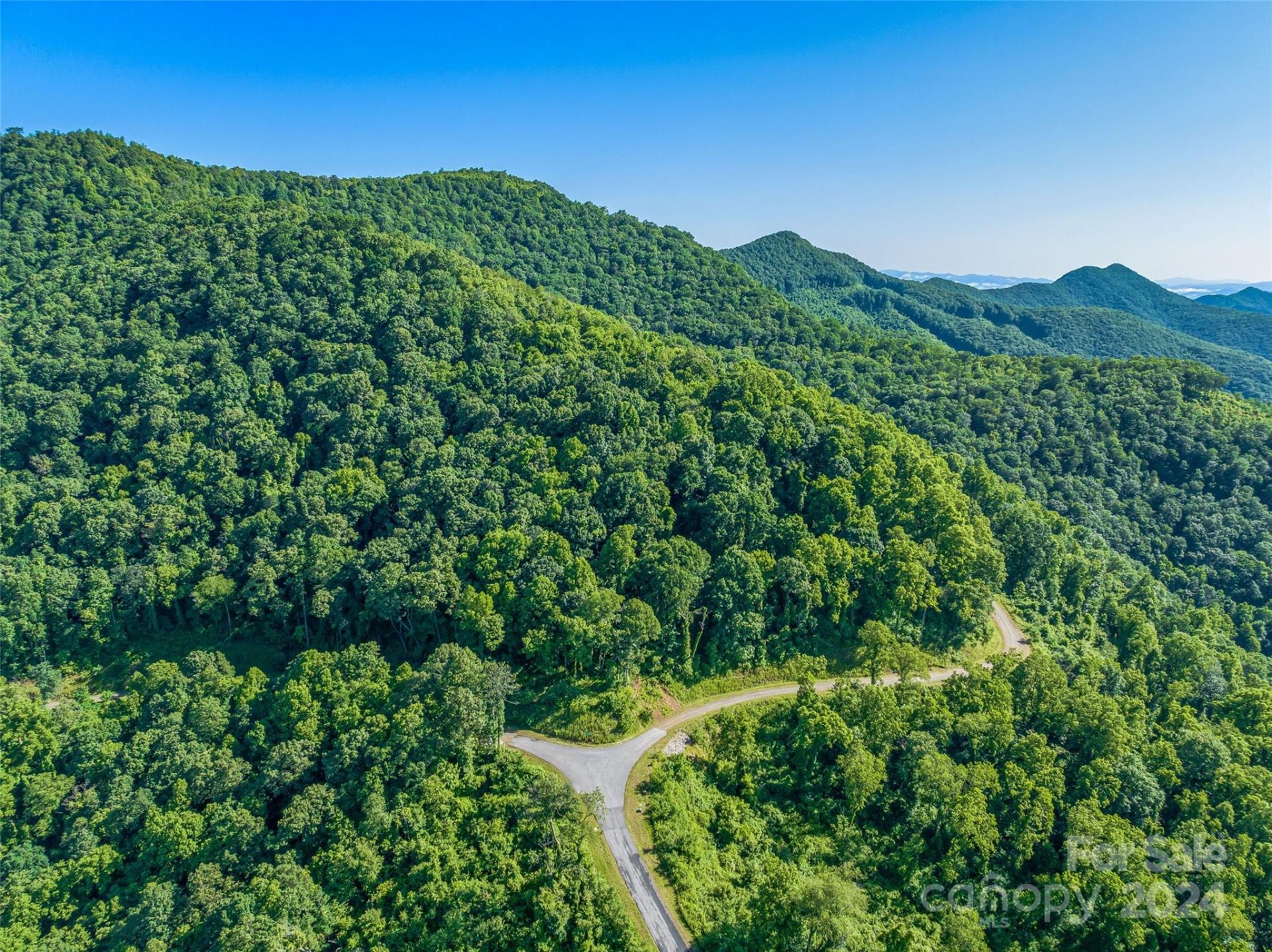 Property image 5 at 9999 29 Lovebird Lane, Canton, NC 28716