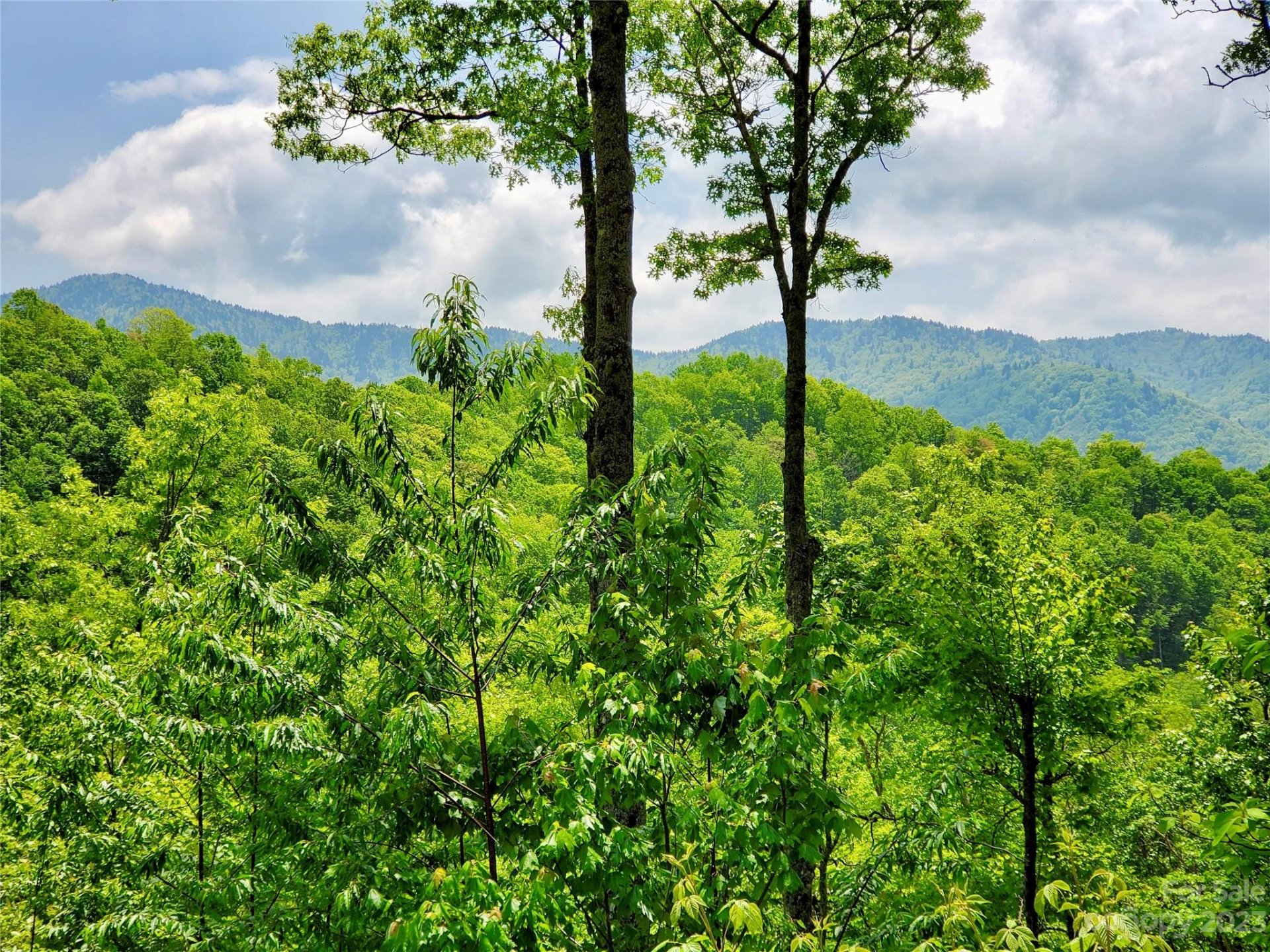 Property image 1 at 23 Screech Owl Circle, Maggie Valley, NC 28751