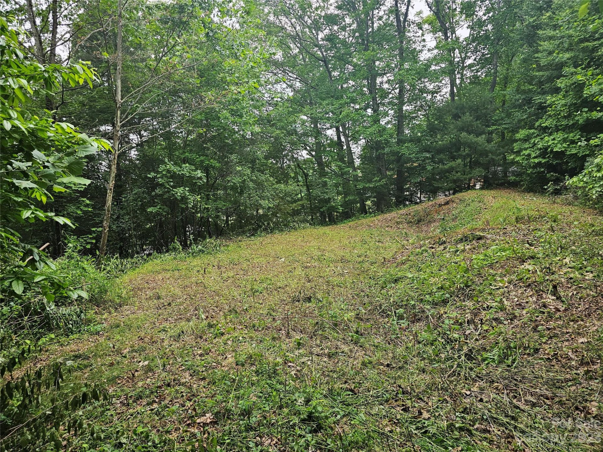 Property image 3 at Lot 32 Peaceful Lane, Clyde, NC 28721