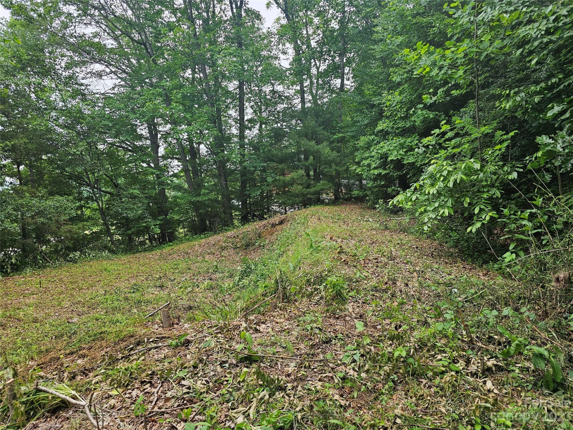 Property image 5 at Lot 32 Peaceful Lane, Clyde, NC 28721