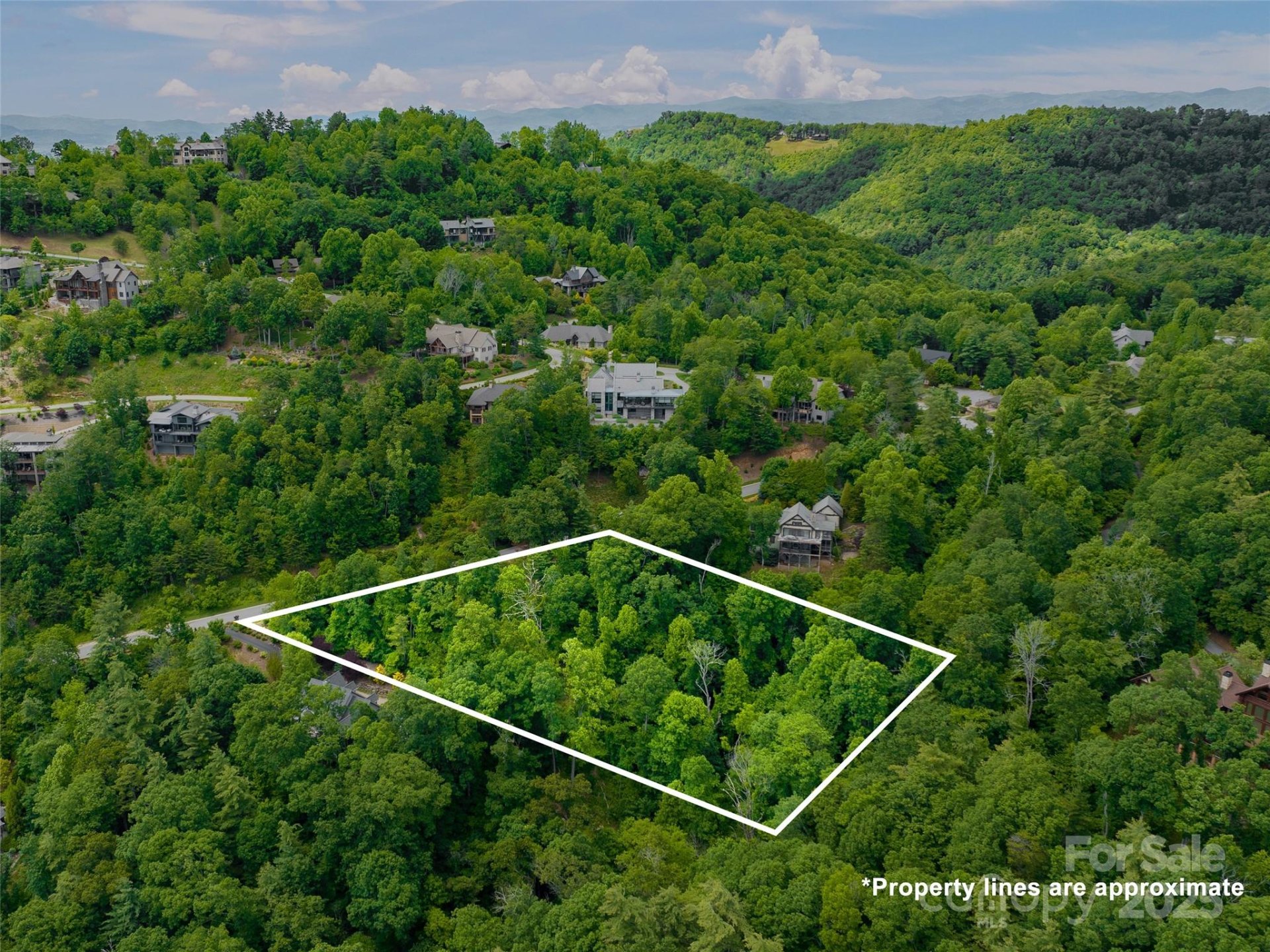 Property image 3 at 209 Senator Reynolds Road, Asheville, NC 28804
