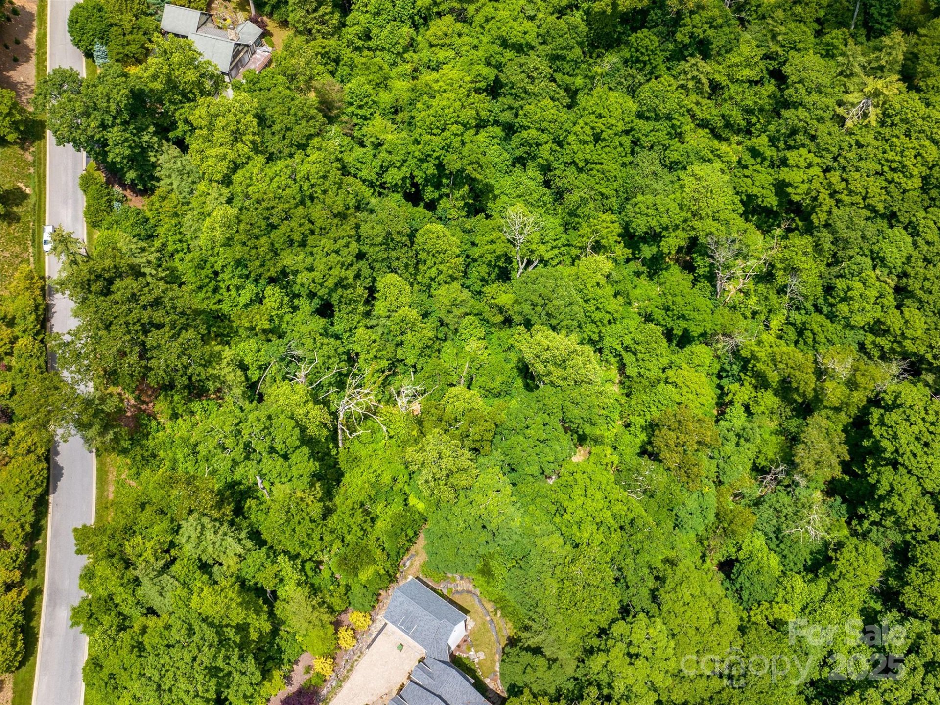 Property image 4 at 209 Senator Reynolds Road, Asheville, NC 28804