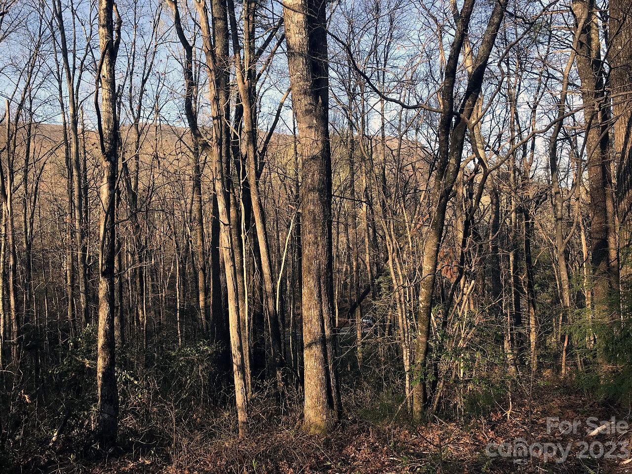 Property image 1 at 26 Holly Road, Sapphire, NC 28774