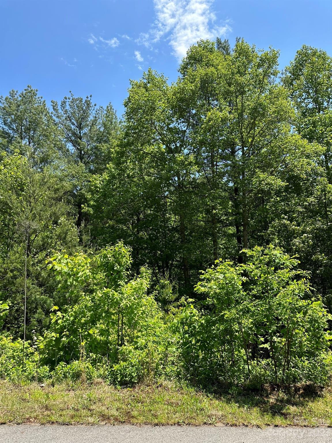 Property image 1 at 26 Carolina Buckthorn Drive, Leicester, NC 28748