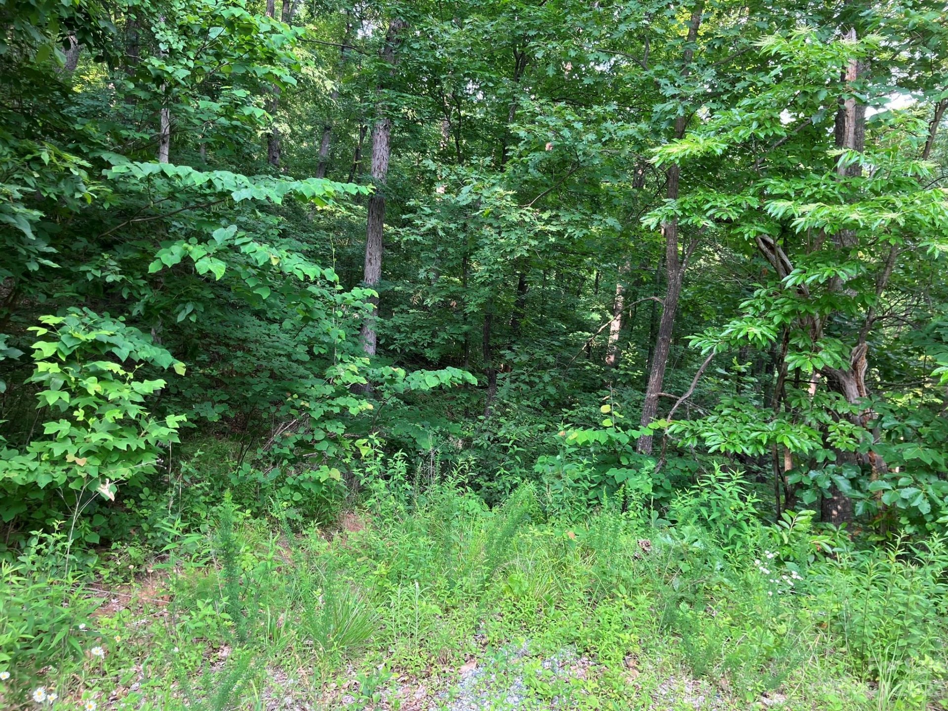 Property image 2 at 00 Roberts Trail, Lake Lure, NC 28746
