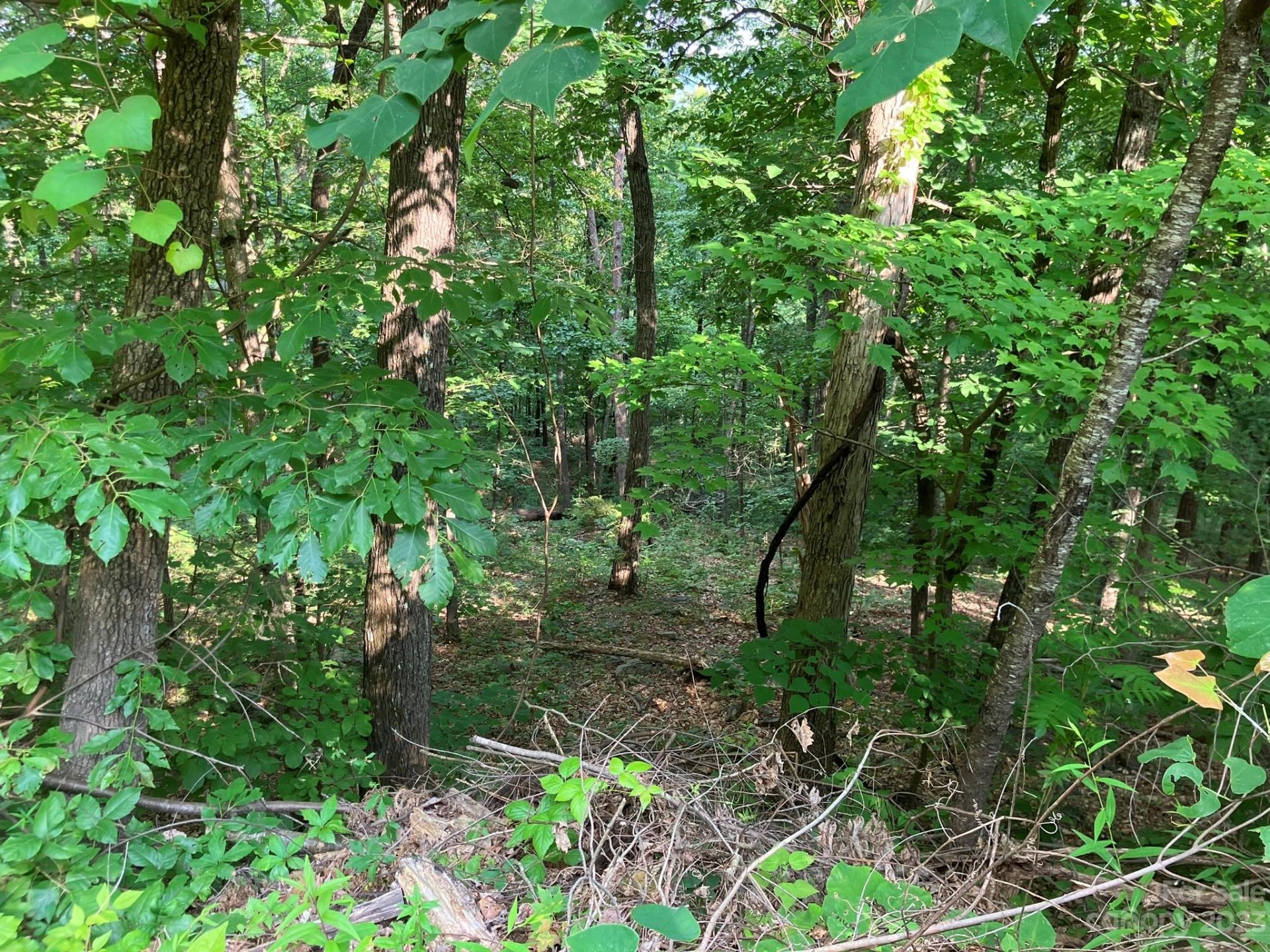 Property image 3 at 00 Roberts Trail, Lake Lure, NC 28746