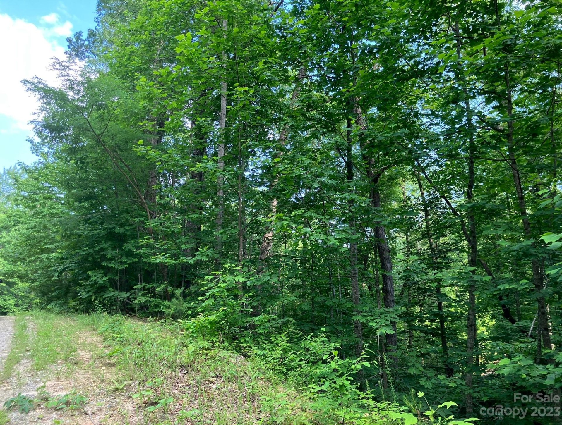 Property image 3 at Lots 533 534 Jones Court, Lake Lure, NC 28746