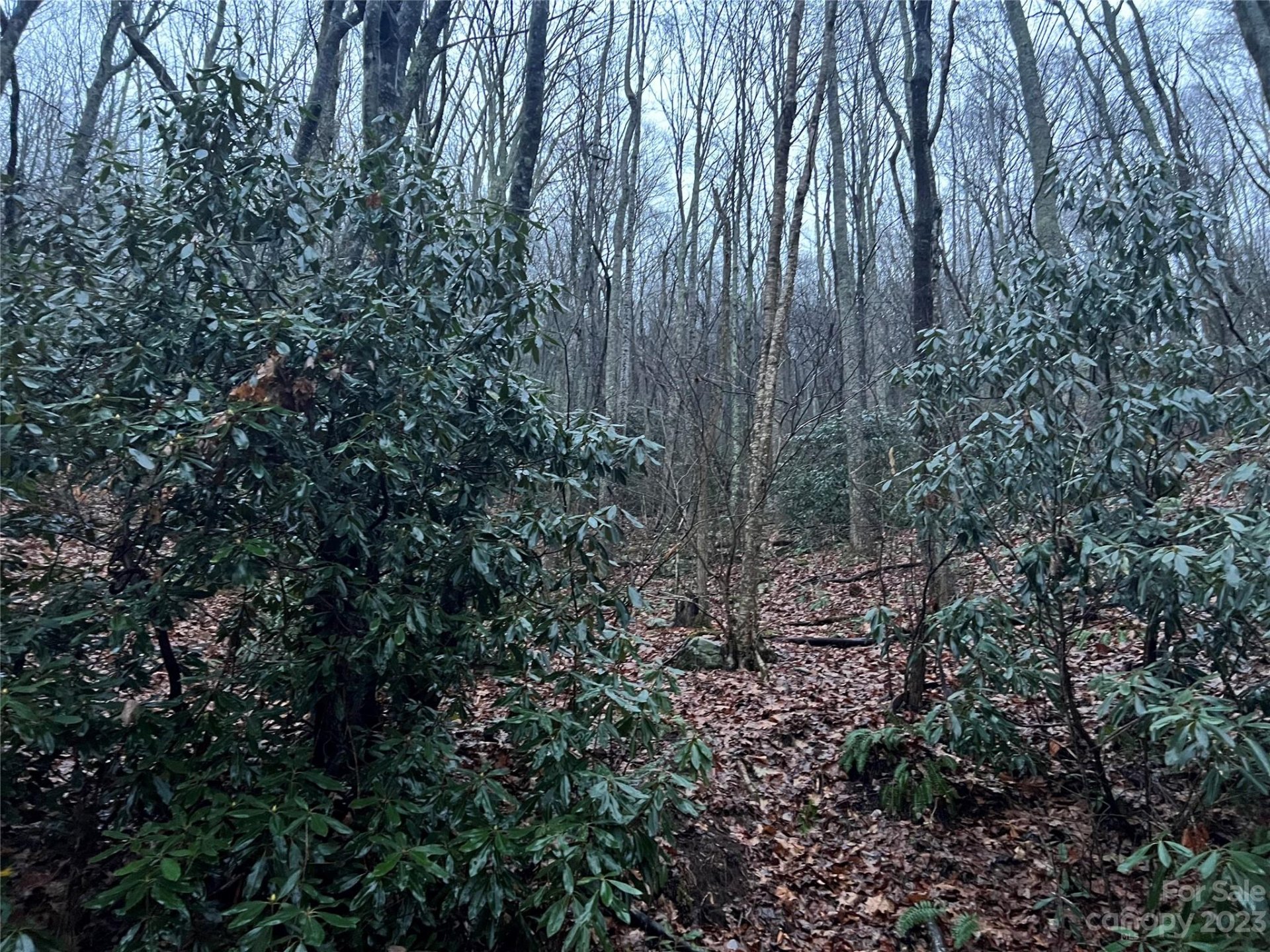 Property at 00 Wildflower Cove Road, Swannanoa, NC 28778