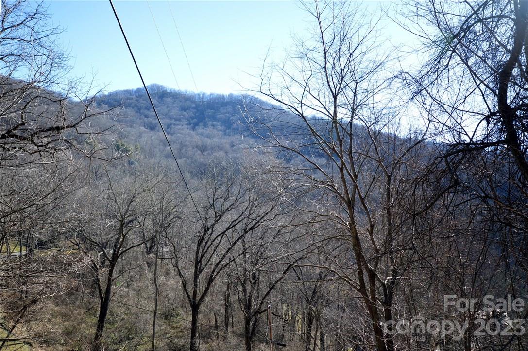 Property image 4 at 24 Lochmoor Lane, Waynesville, NC 28785