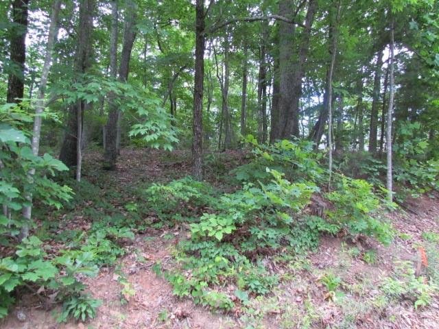 Property image 1 at 00 Caledonia Road, Landrum, SC 29356