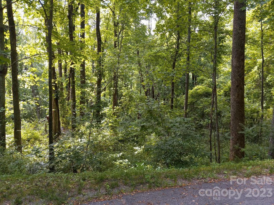 Property image 1 at Lt 171 Catawba Drive, Marion, NC 28752