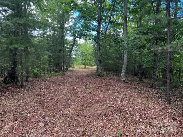 Property image 2 at 46 N Park Lane, Mill Spring, NC 28756
