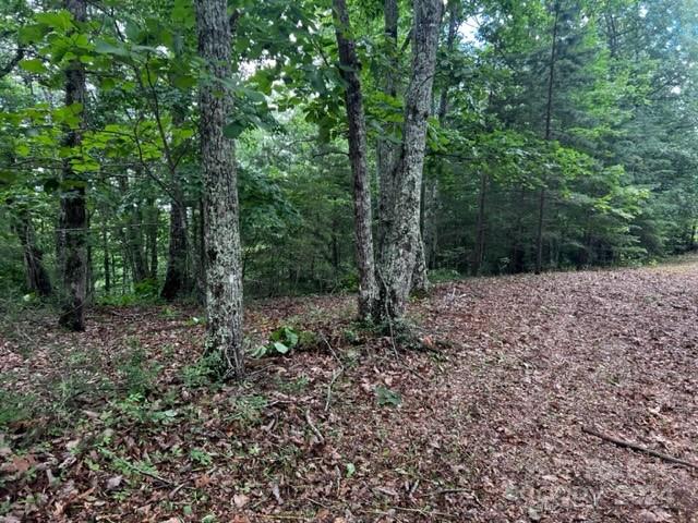 Property image 5 at 46 N Park Lane, Mill Spring, NC 28756