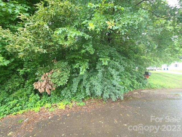 Property image 3 at 00 Blackwood Road, Denver, NC 28037