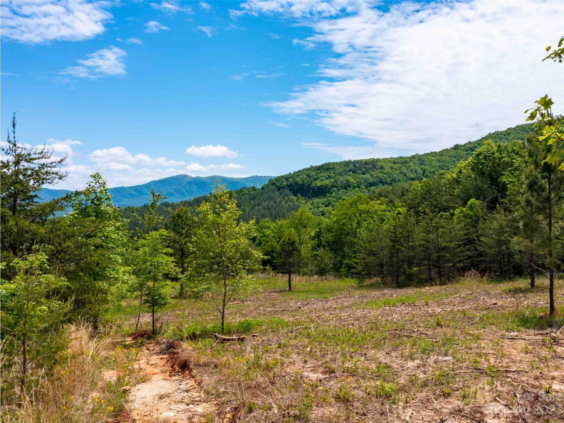 Property image 5 at Lot 185 Harris Court, Mill Spring, NC 28756