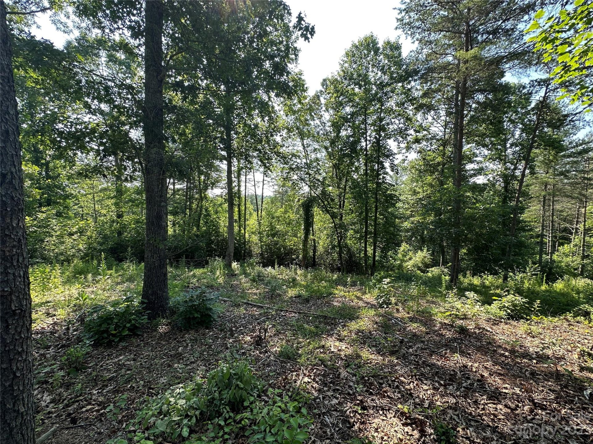 Property image 3 at 3202 Bear Paw Avenue, Valdese, NC 28690