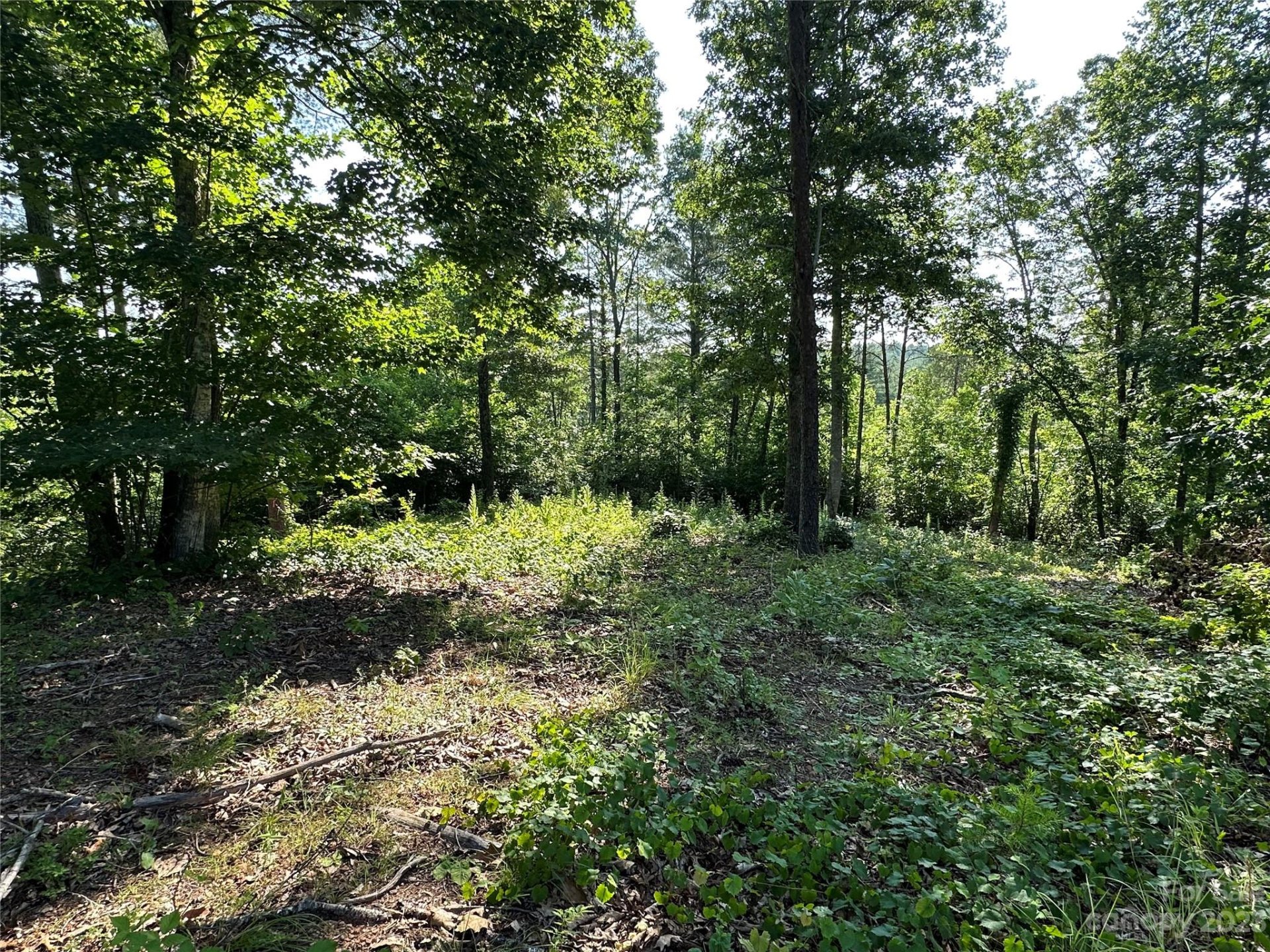 Property image 5 at 3202 Bear Paw Avenue, Valdese, NC 28690