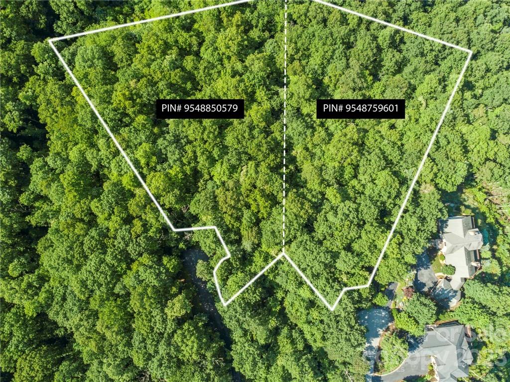 Property image 1 at 0 Ladys Fern Trail, Laurel Park, NC 28739