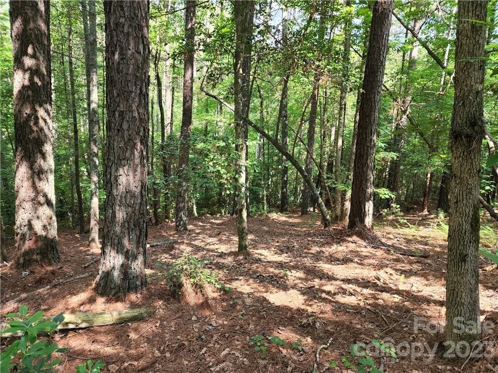 Property image 1 at 114 Rivercliff Drive, Connelly Springs, NC 28612