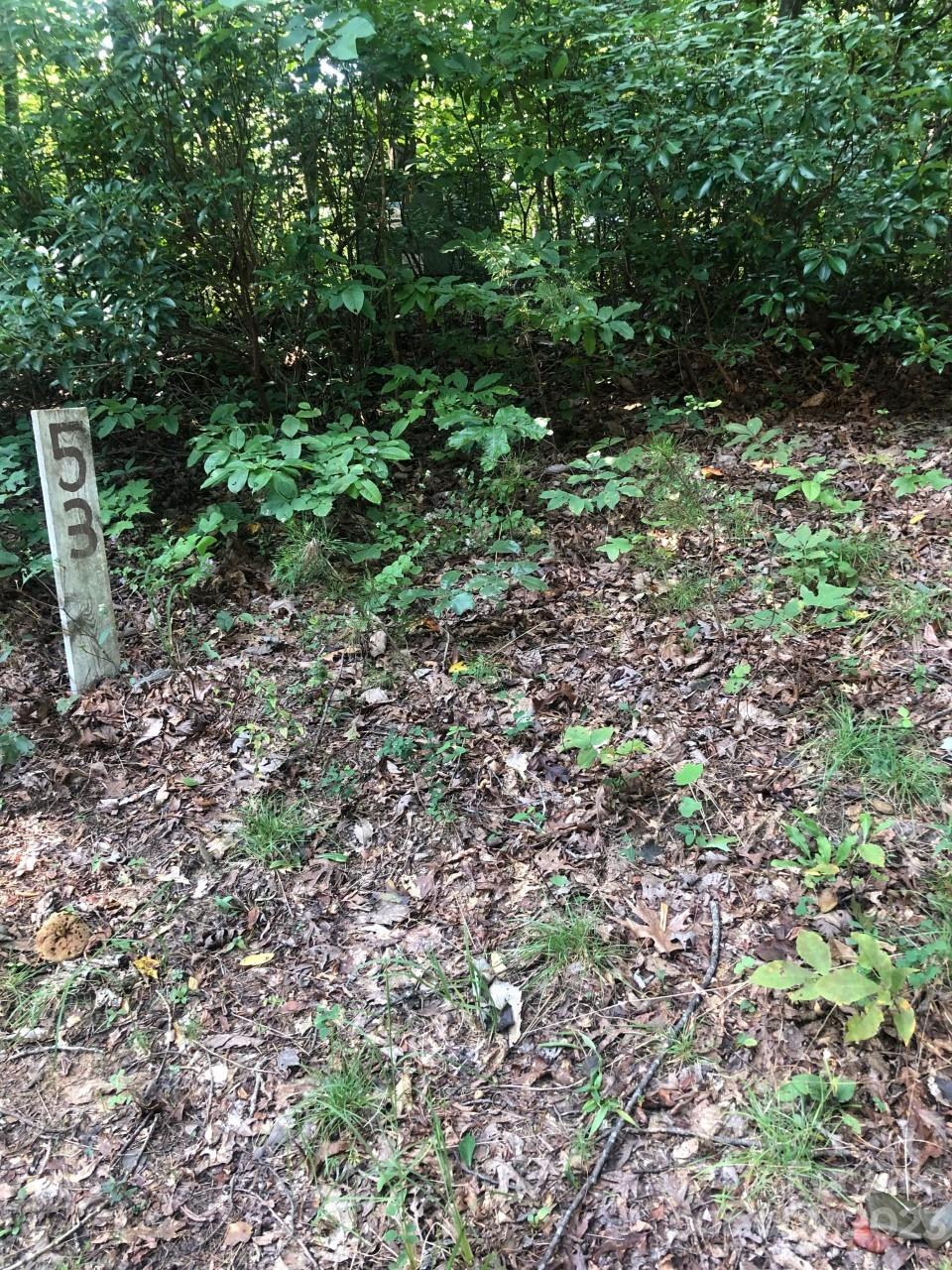 Property image 4 at 0 Winesap Boulevard, Lake Lure, NC 28746