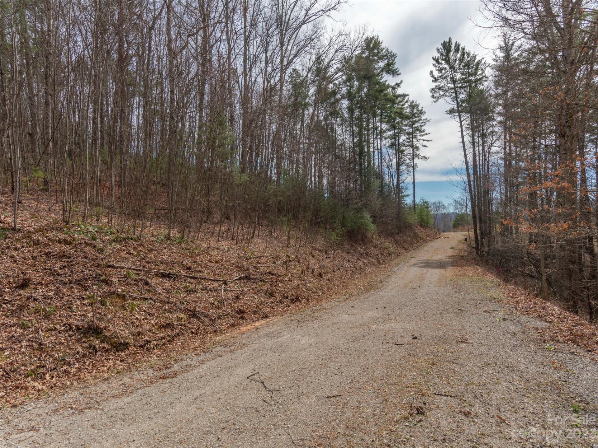 Property image 5 at Lot 7 Wildlife Drive, Clyde, NC 28721