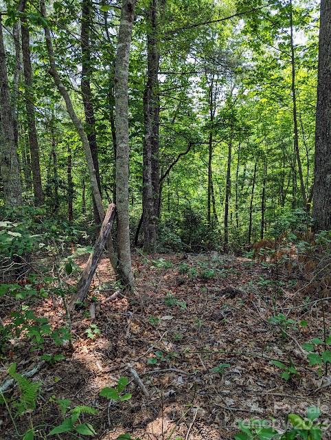 Property image 1 at Tbd Erwin Hill Drive, Etowah, NC 28729