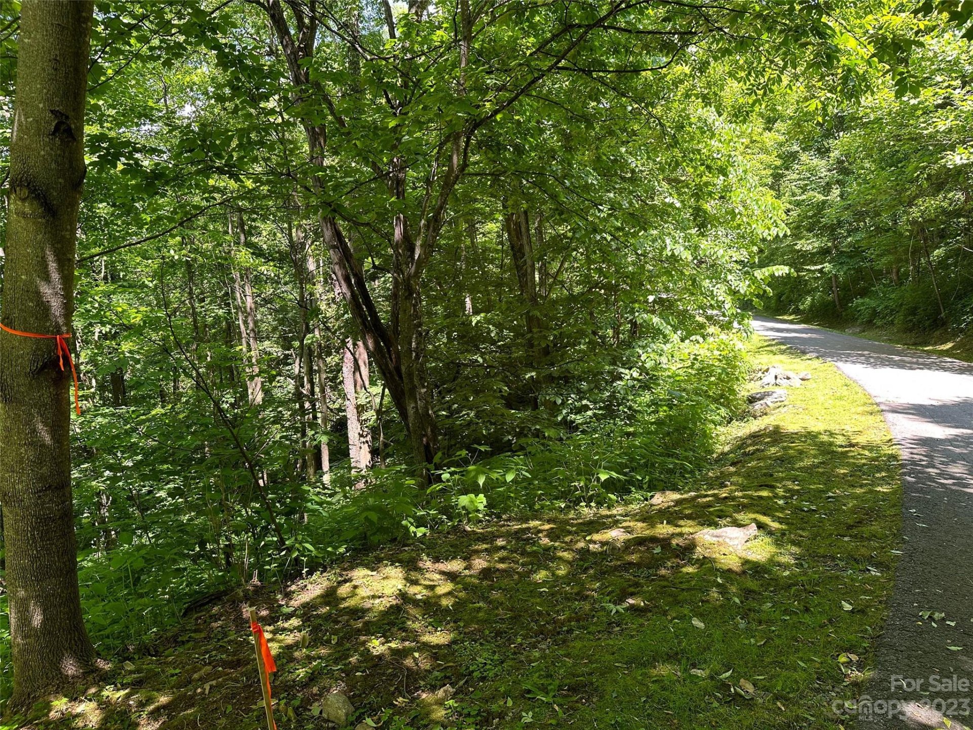 Property image 1 at 00 Twisted Trail, Waynesville, NC 28786