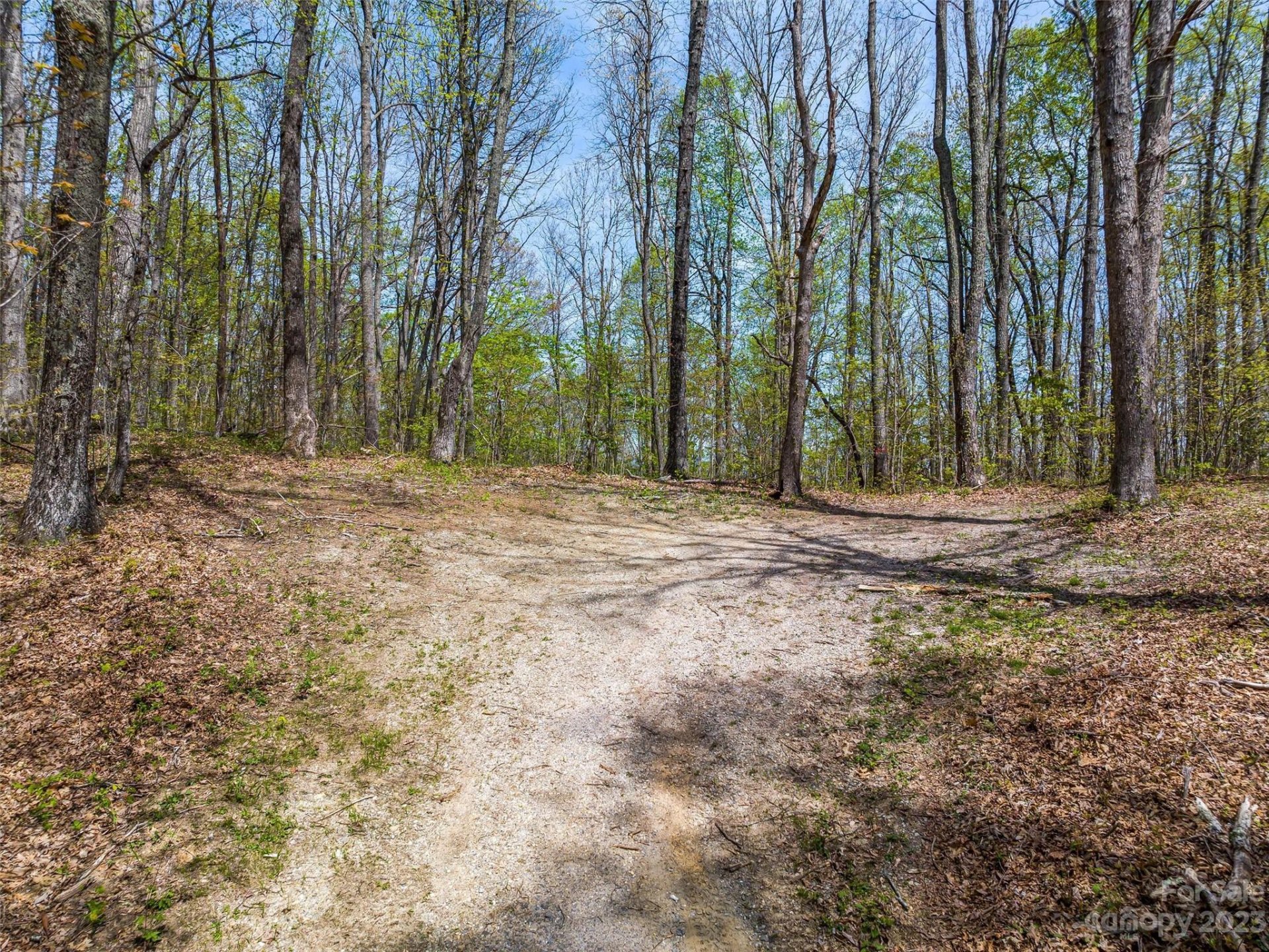 Property image 3 at 9999 3 Merrills Ridge Road, Asheville, NC 28803