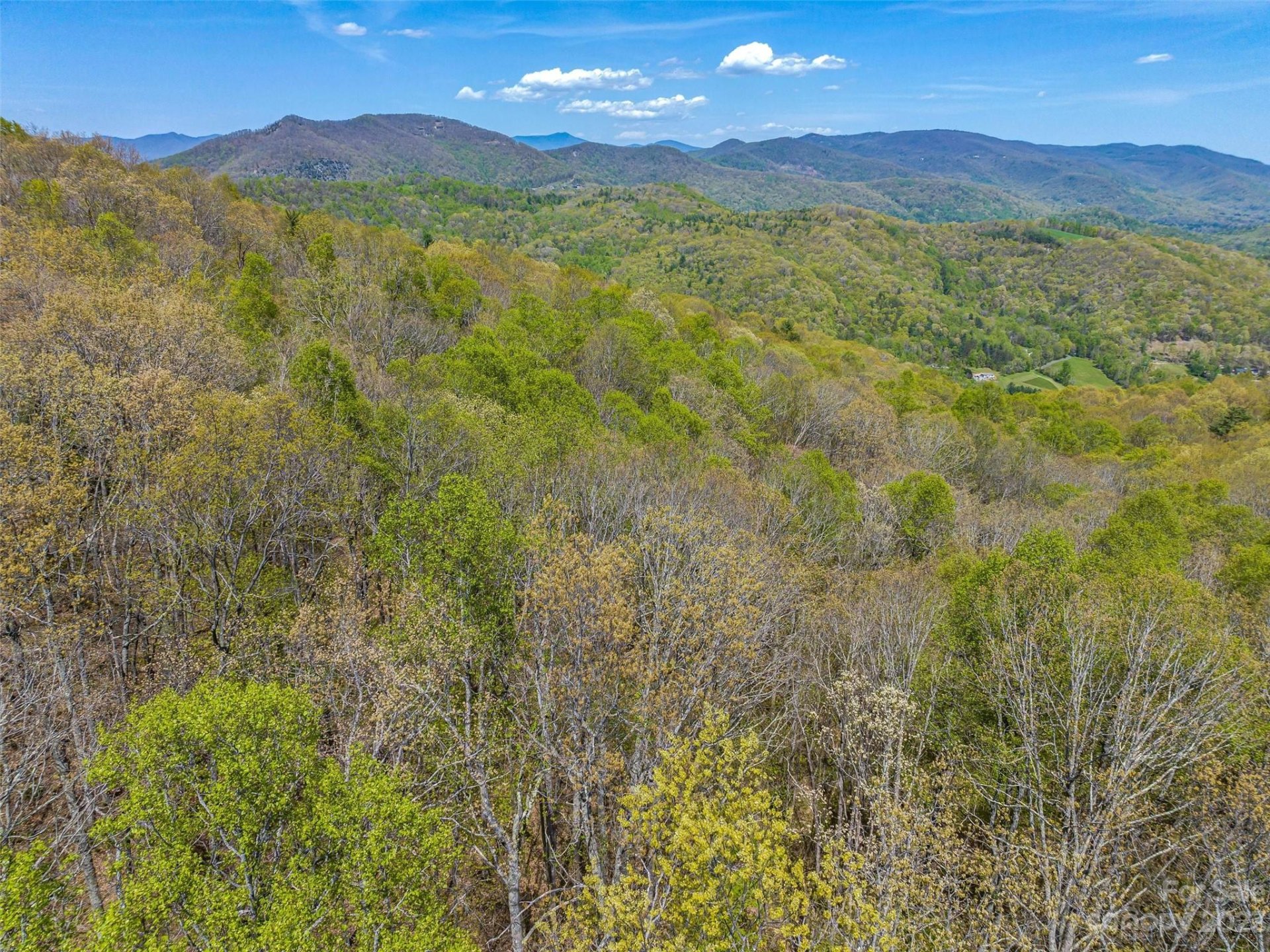 Property image 4 at 9999 3 Merrills Ridge Road, Asheville, NC 28803
