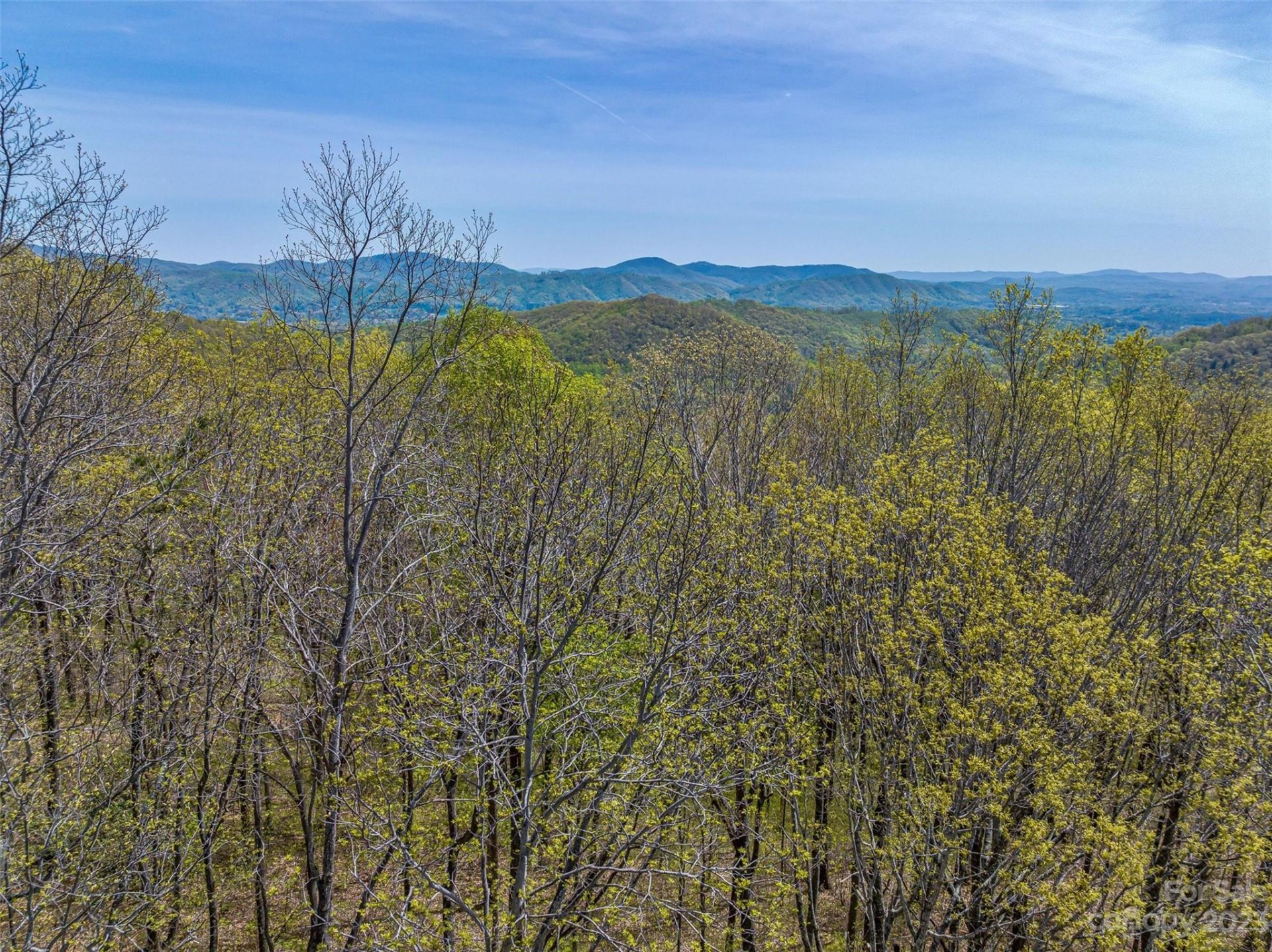 Property image 5 at 9999 4 Merrills Ridge Road, Asheville, NC 28803