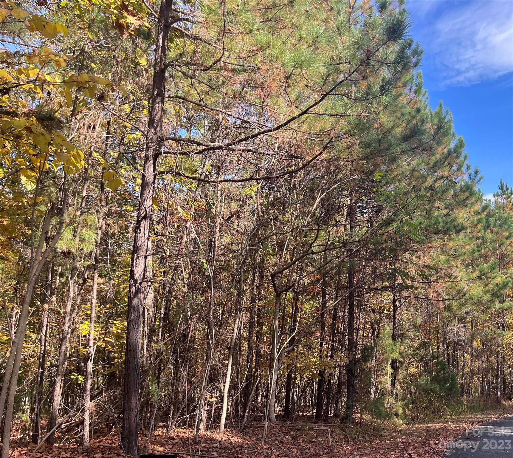 Property image 1 at 0 Creekside Circle, Rutherfordton, NC 28139