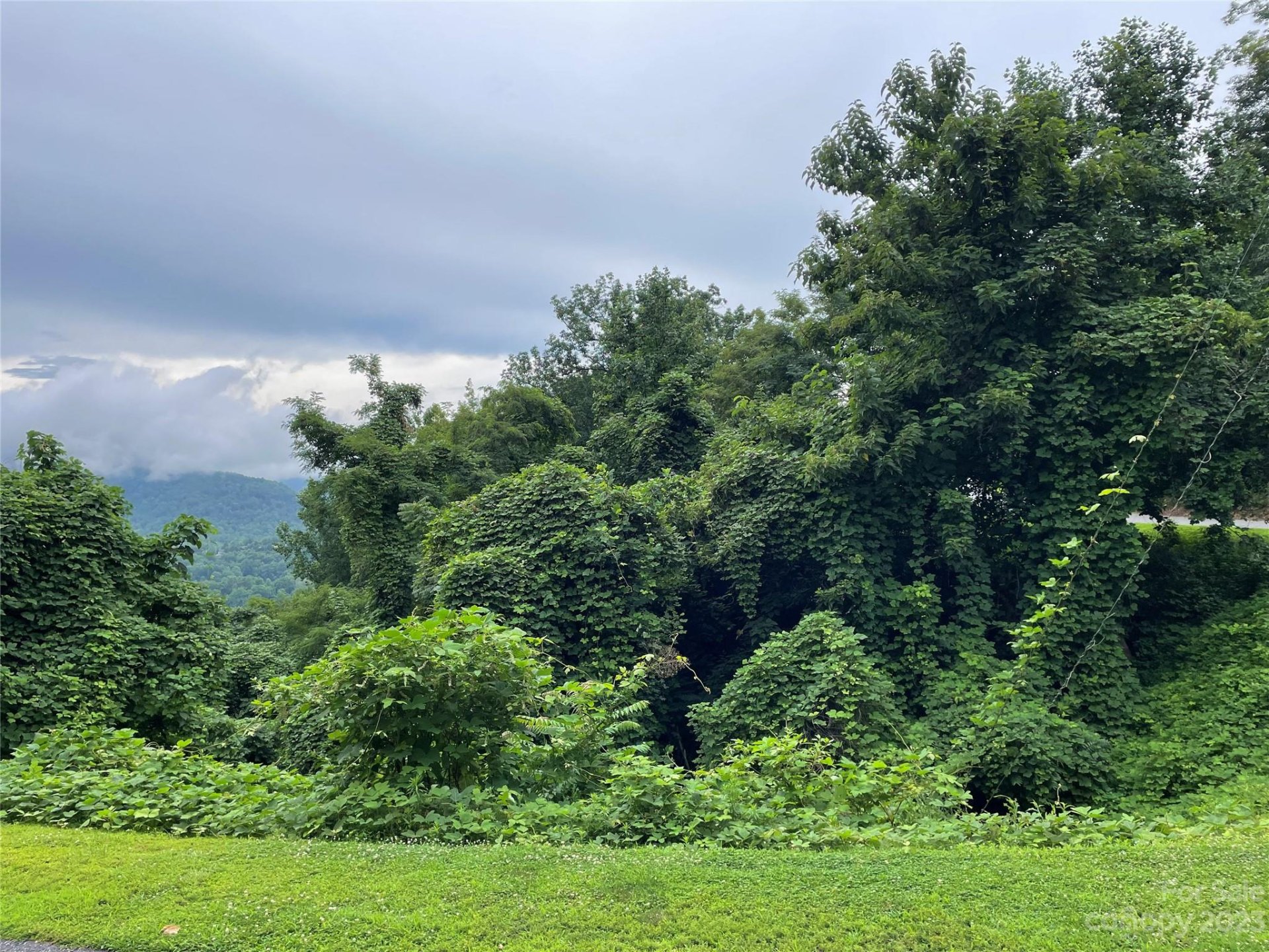 Property image 4 at 0 Clear Creek Trail, Lake Lure, NC 28746