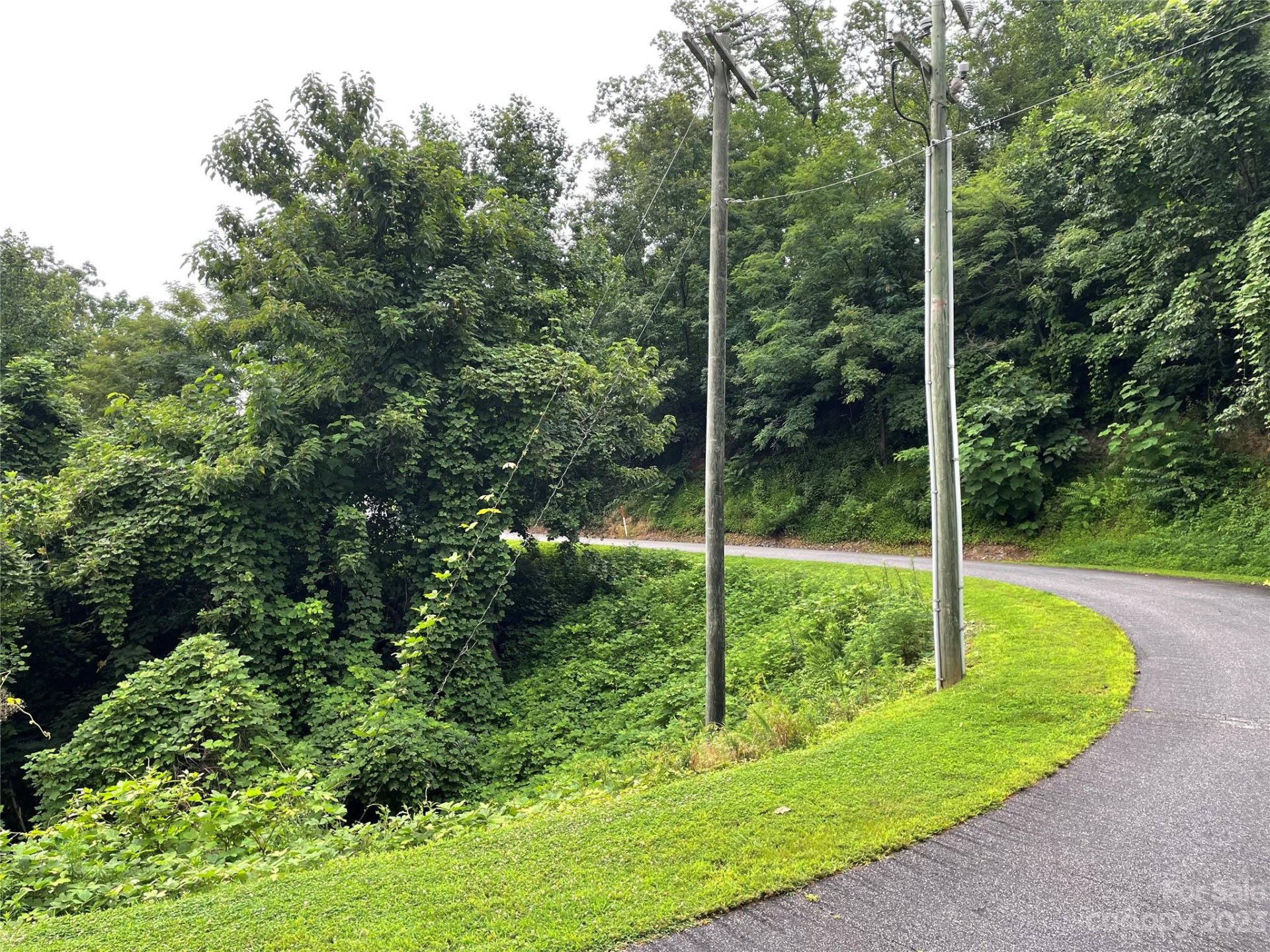 Property image 5 at 0 Clear Creek Trail, Lake Lure, NC 28746