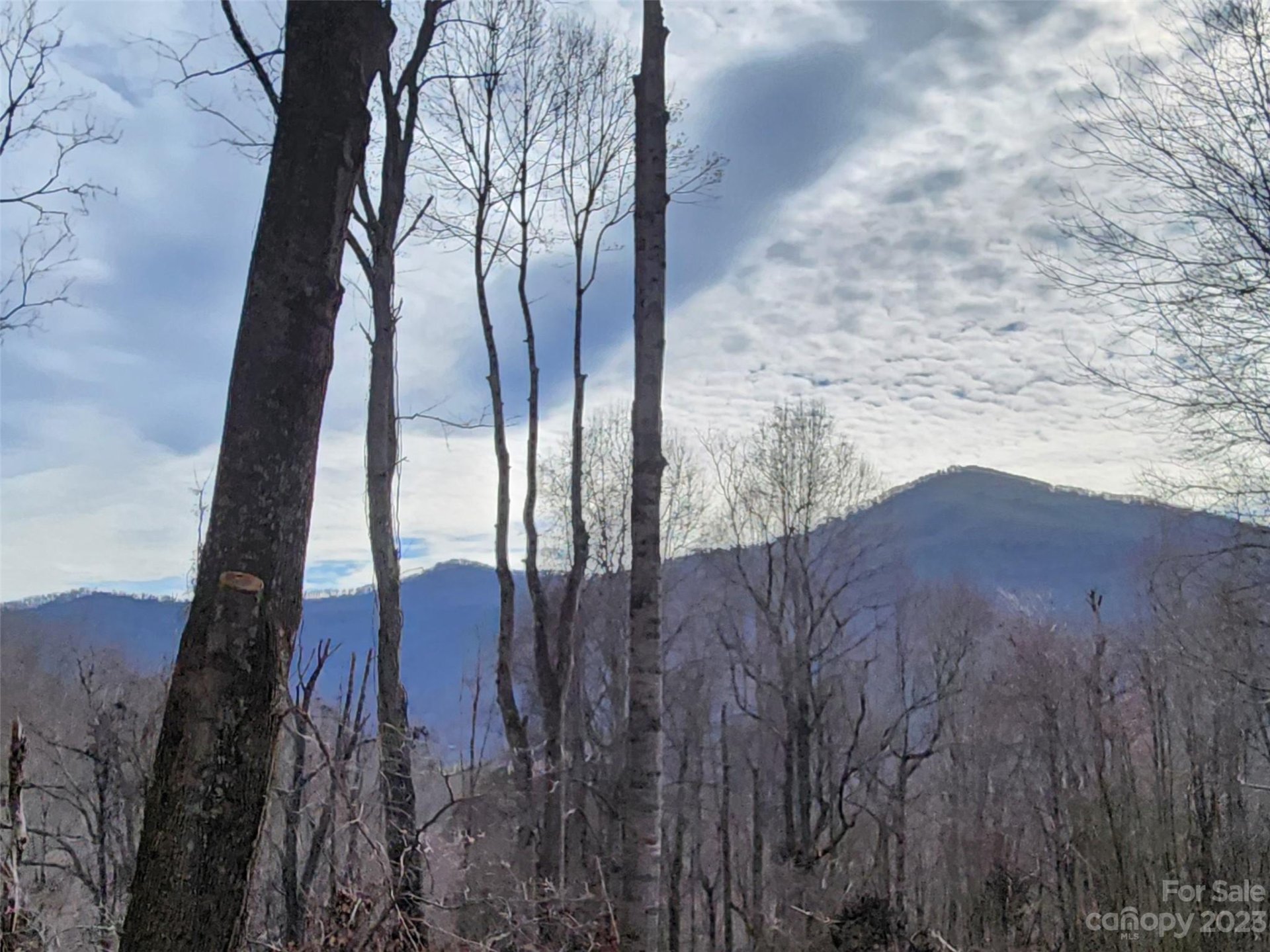 Property image 1 at 00 Havenwood Drive, Maggie Valley, NC 28751