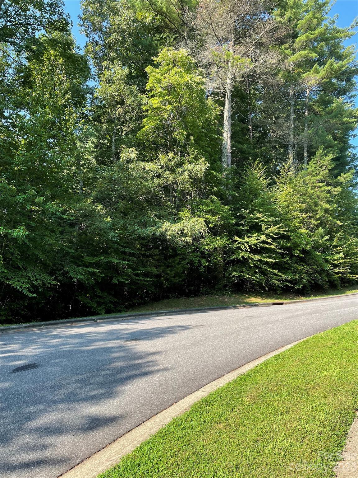 Property image 2 at V48 49 Camptown Road, Brevard, NC 28712