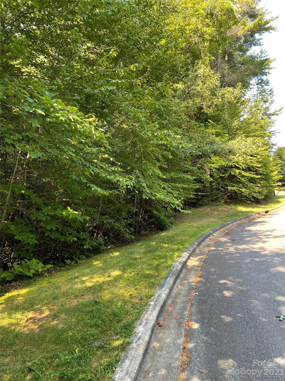 Property image 3 at V48 49 Camptown Road, Brevard, NC 28712