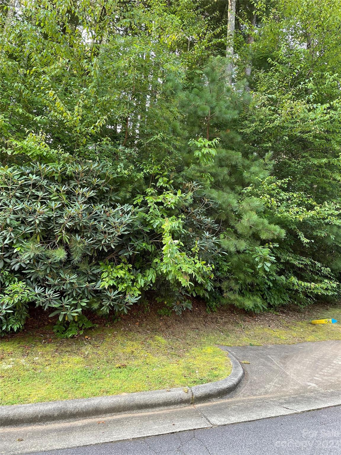 Property image 4 at V48 49 Camptown Road, Brevard, NC 28712