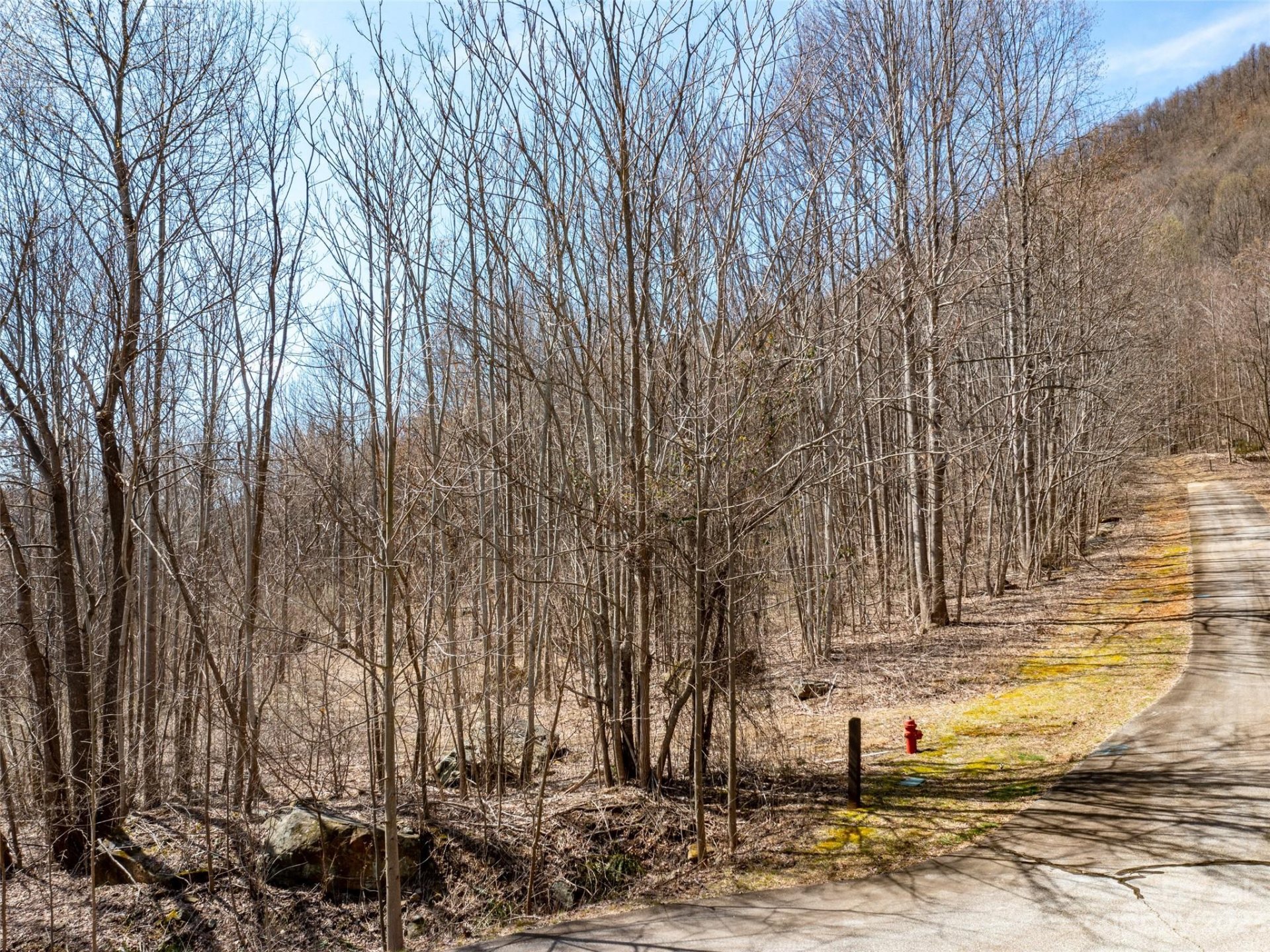 Property image 1 at Lot 201 Cherry Hill, Mill Spring, NC 28756