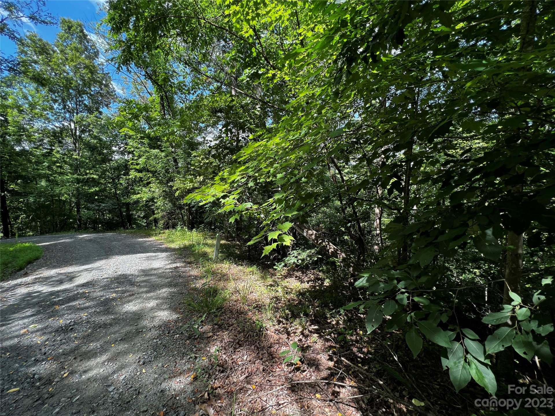 Property image 3 at 0 Bills Creek Road, Lake Lure, NC 28746