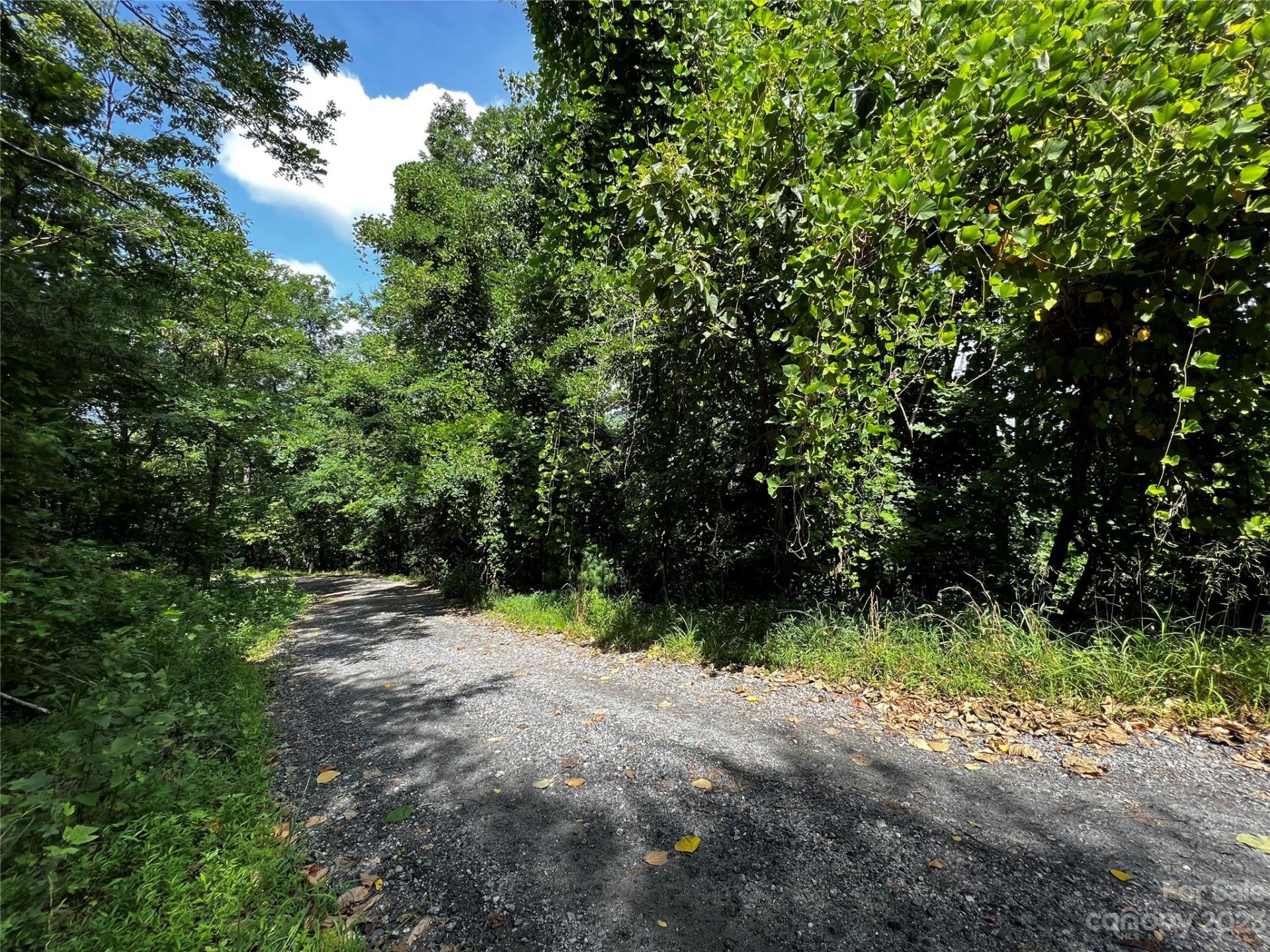 Property image 4 at 0 Bills Creek Road, Lake Lure, NC 28746