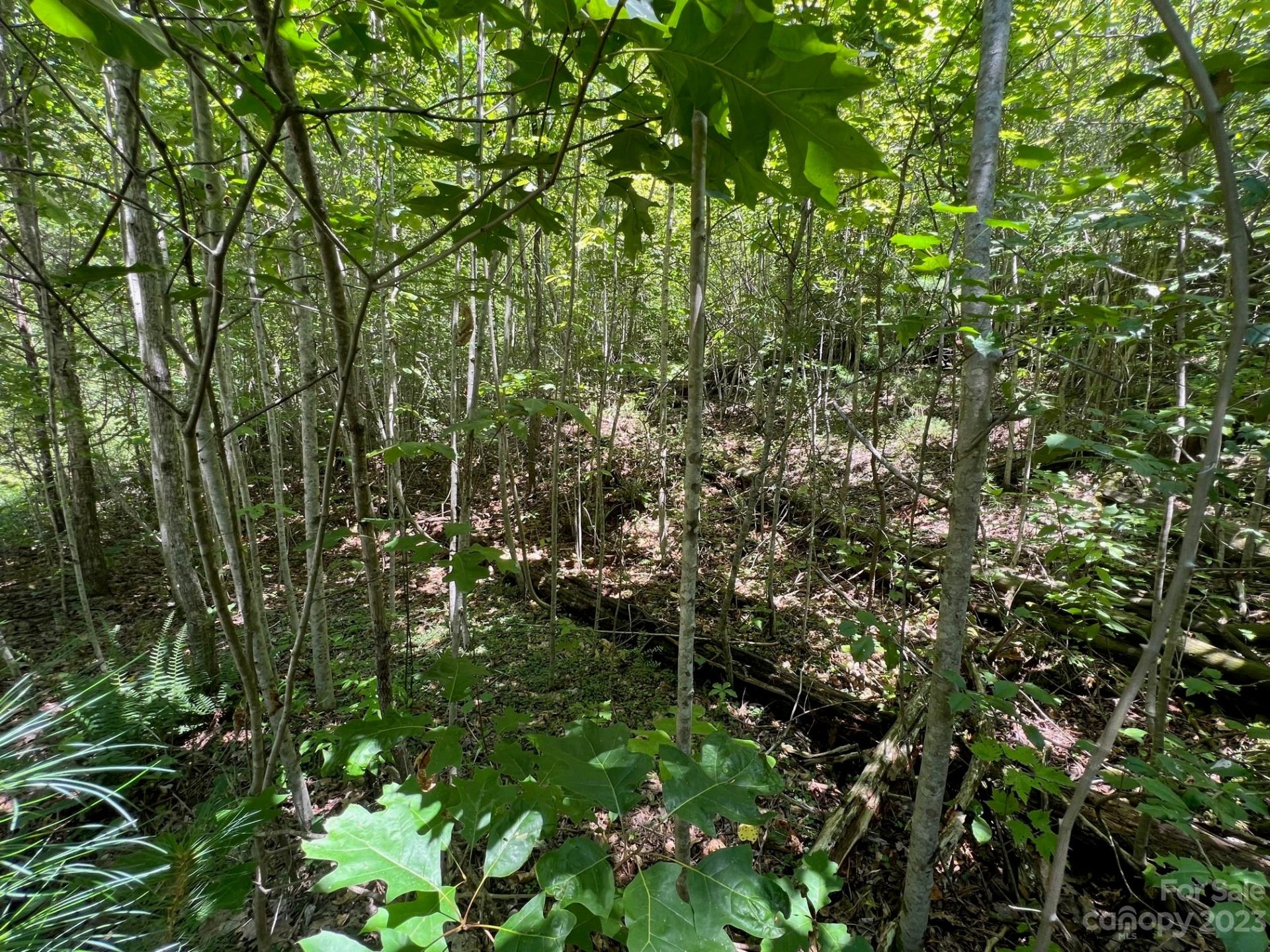 Property image 4 at Lot 24 Round Mountain Road, Brevard, NC 28712
