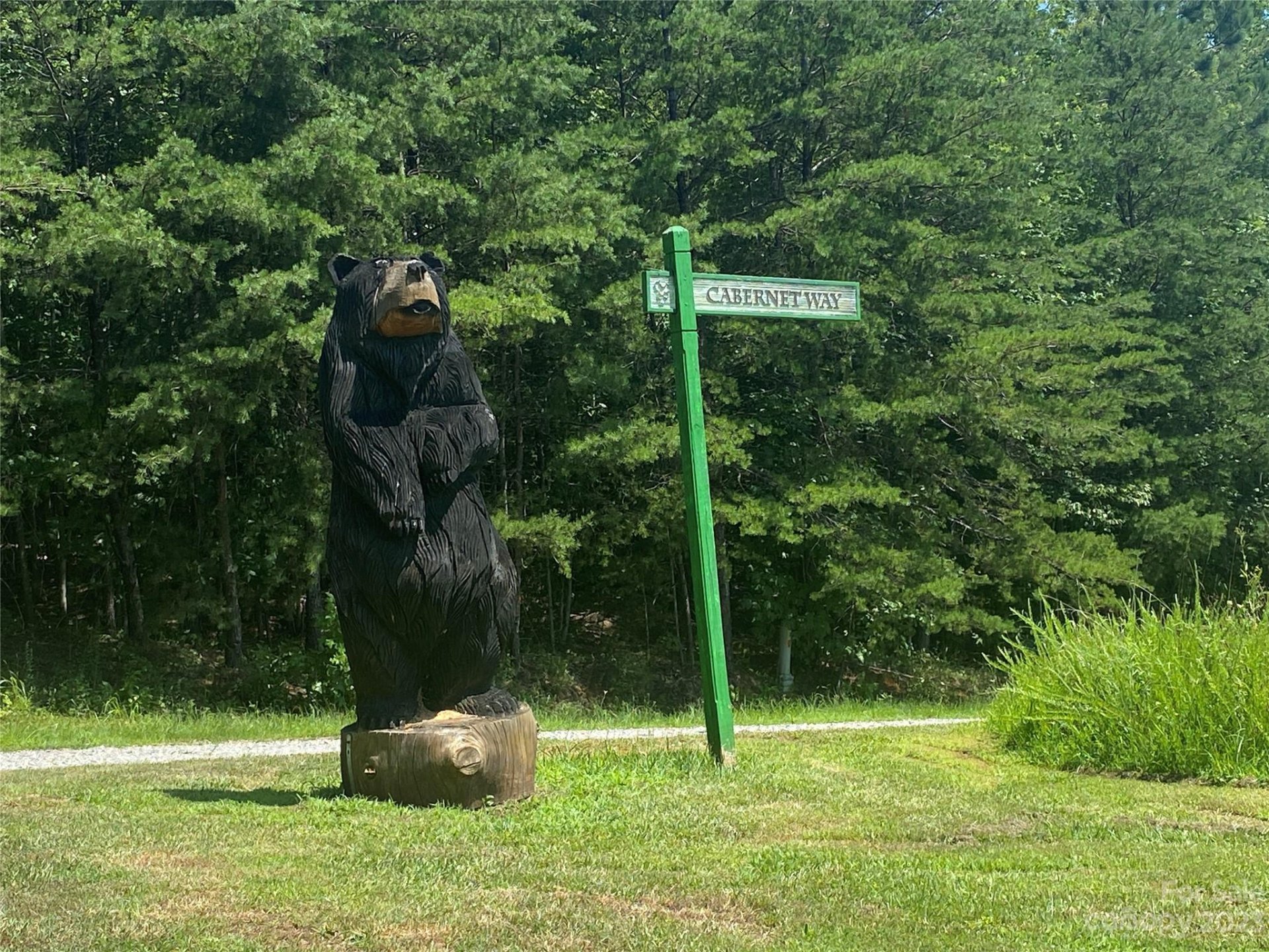 Property image 1 at Lot 28 Cabernet Way, Lake Lure, NC 28746