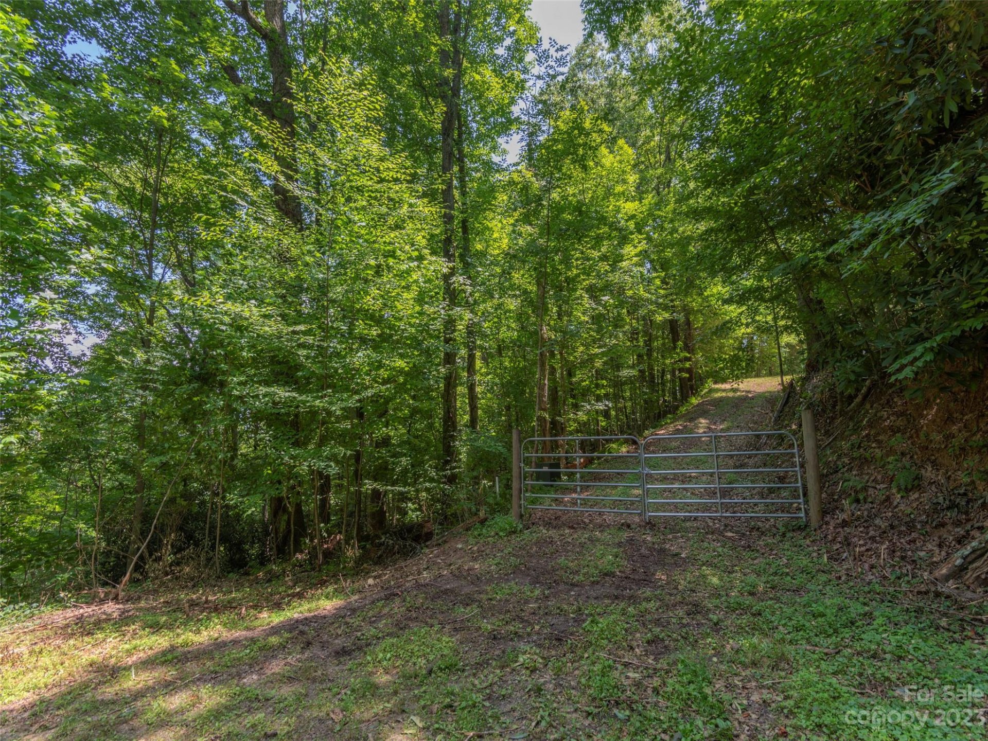 Property image 2 at 00 Frank Davis Road, Waynesville, NC 28785