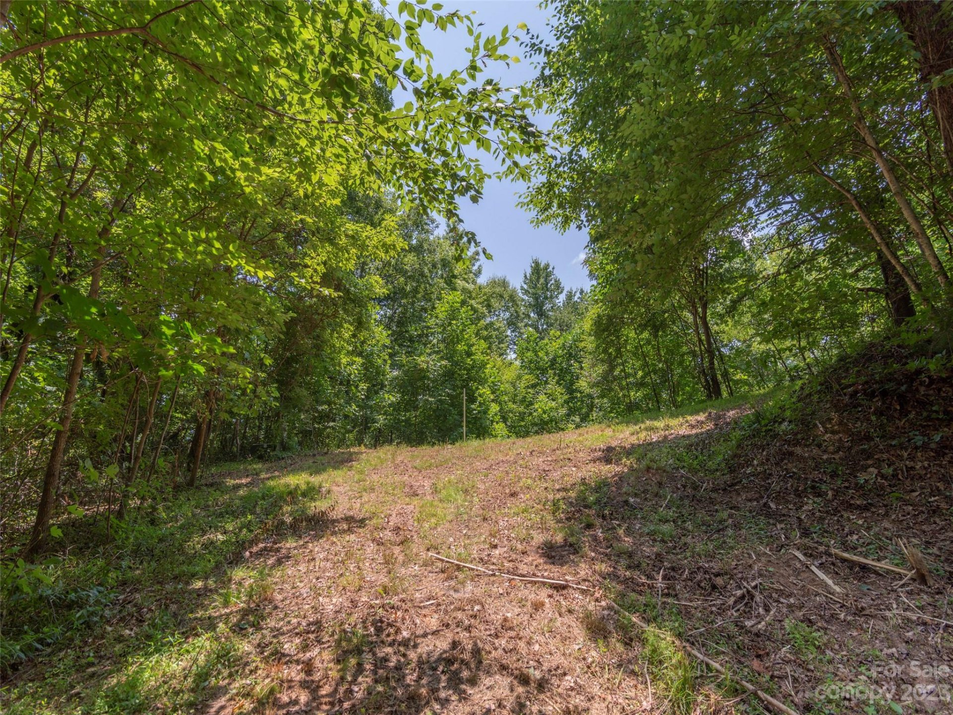 Property image 3 at 00 Frank Davis Road, Waynesville, NC 28785