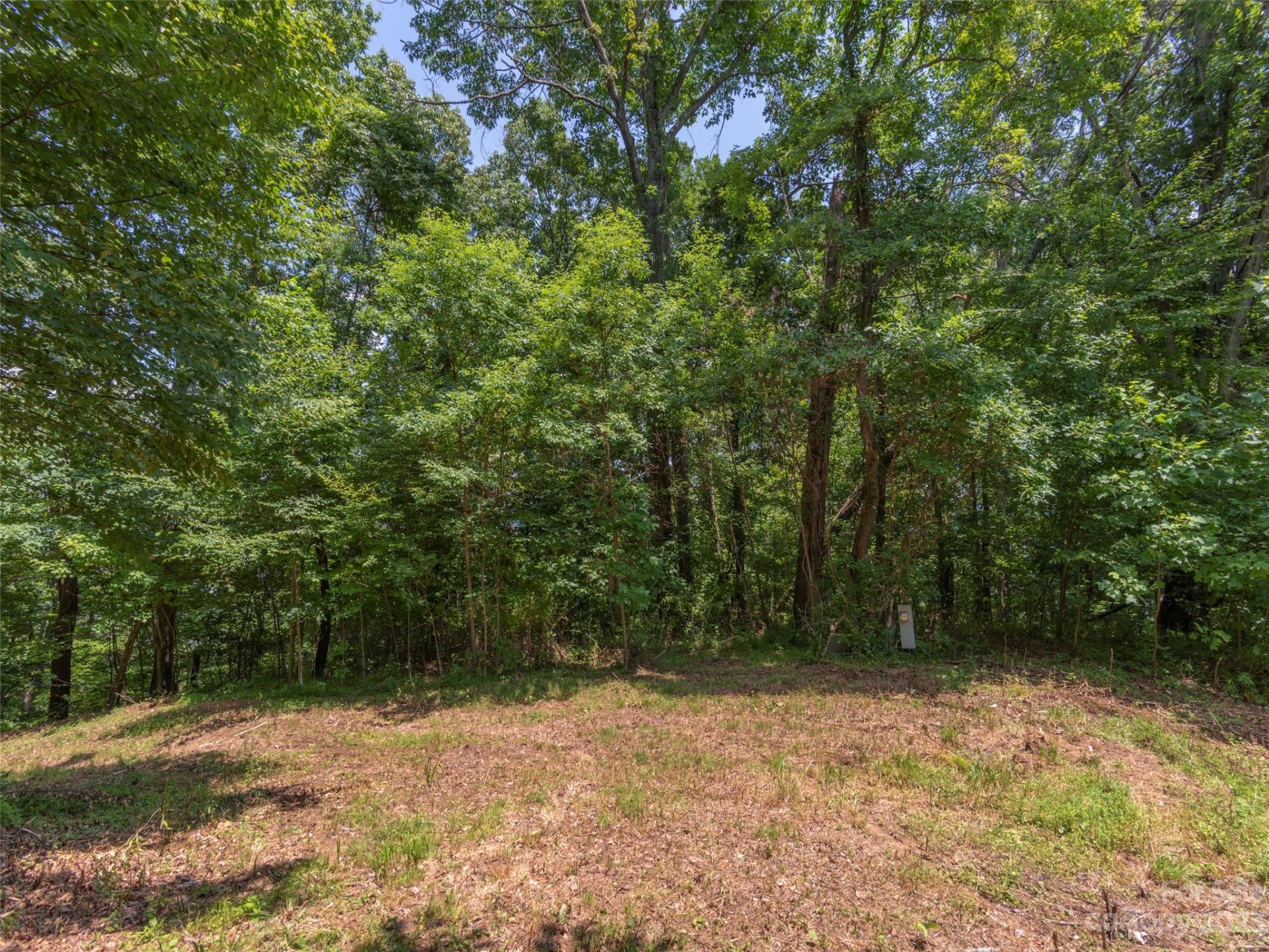Property image 4 at 00 Frank Davis Road, Waynesville, NC 28785