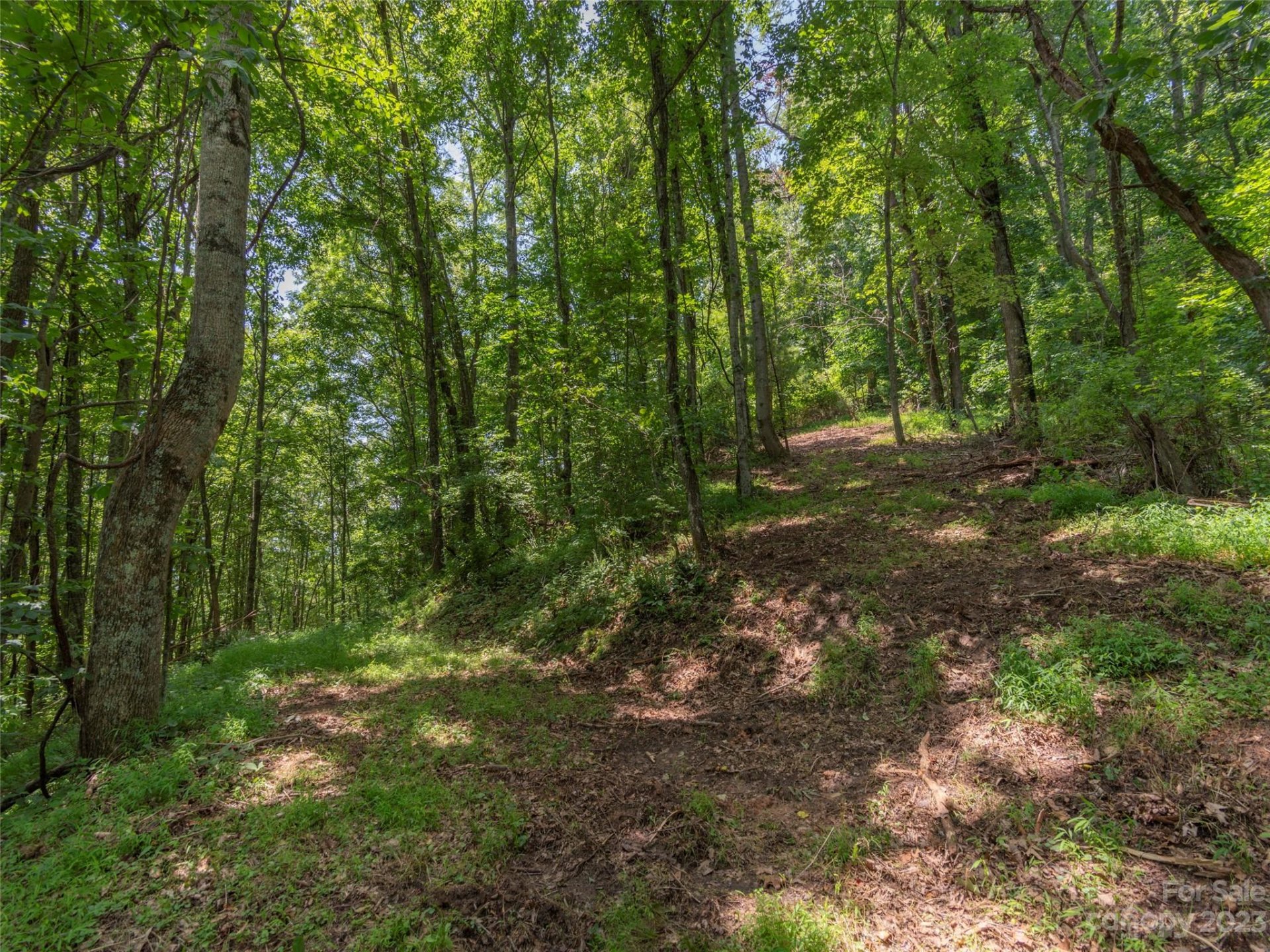 Property image 5 at 00 Frank Davis Road, Waynesville, NC 28785