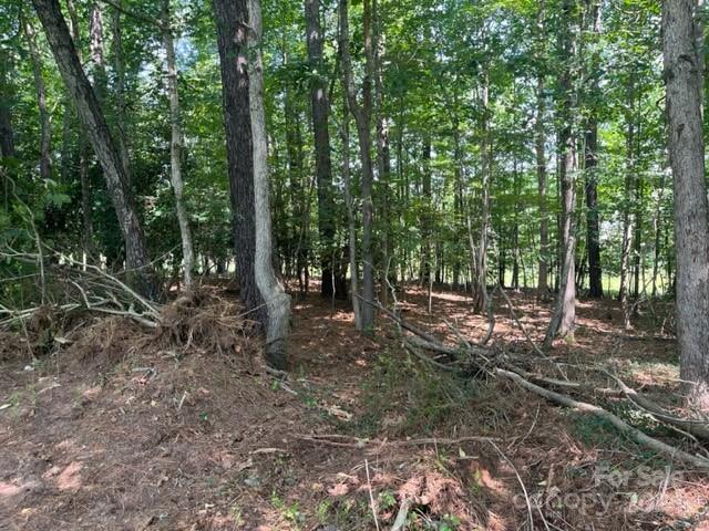 Property image 4 at 0000 North Bay Drive, Granite Falls, NC 28630