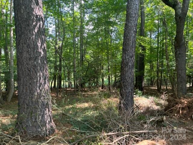Property image 5 at 0000 North Bay Drive, Granite Falls, NC 28630